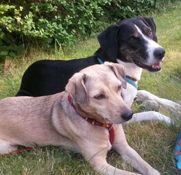 Lani und Jule