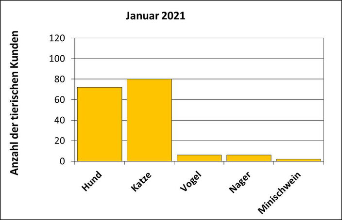 Statistik |Januar 2021 - Anzahl der tierischen Kunden