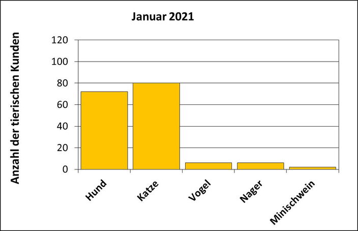 Statistik |Januar 2021 - Anzahl der tierischen Kunden