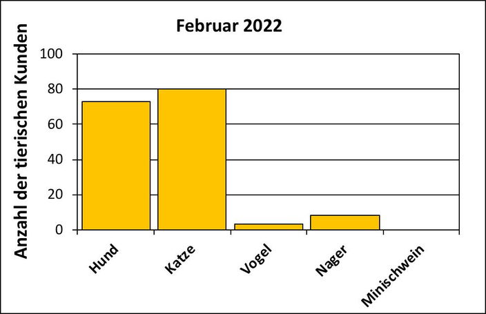 Statistik |Februar 2022 - Anzahl der tierischen Kunden
