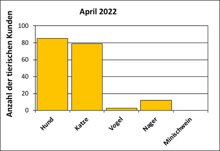 Statistik |April 2022 - Anzahl der tierischen Kunden
