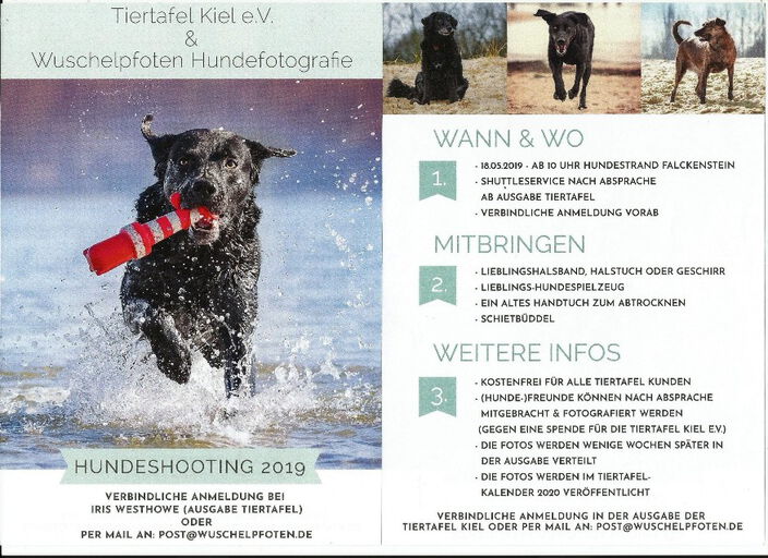 Tiertafel Kiel Hundeshooting