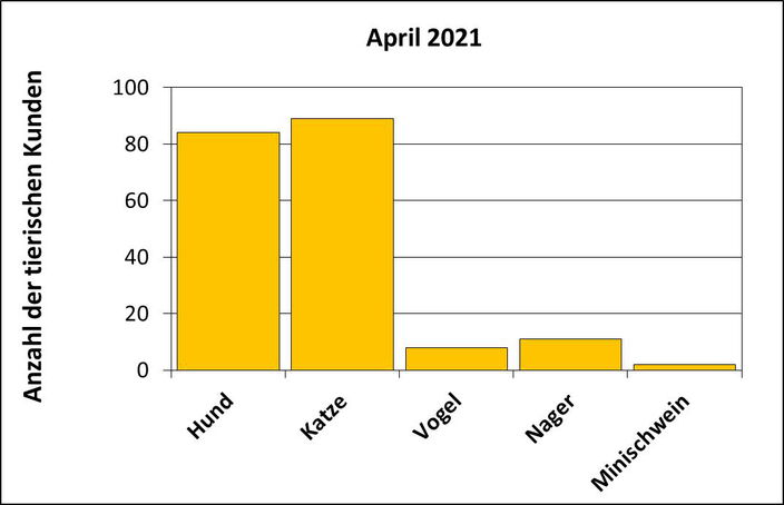 Statistik |April 2021 - Anzahl der tierischen Kunden