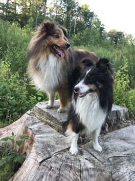 Leevi und Janne
