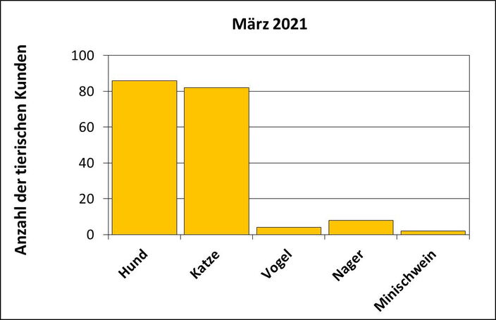 Statistik |März 2021 - Anzahl der tierischen Kunden